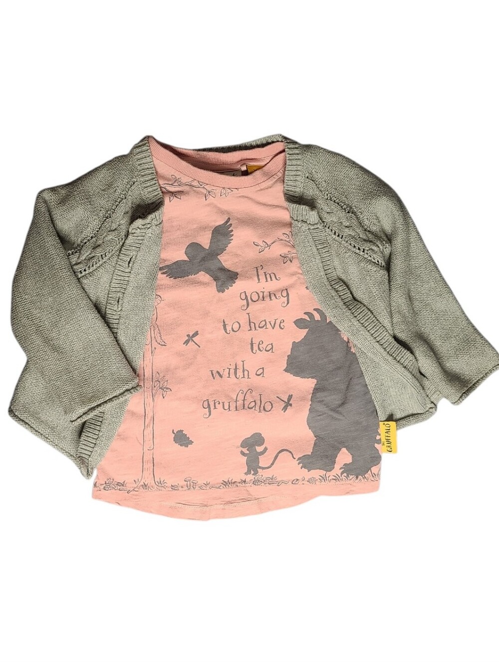 Toddler Girls Storybook Outfit Set - 2 Piece Lot (Next UK & Tea Collection) 2T